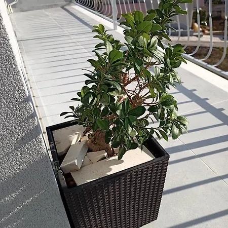 Ankica With Beautiful Sea View Podstrana