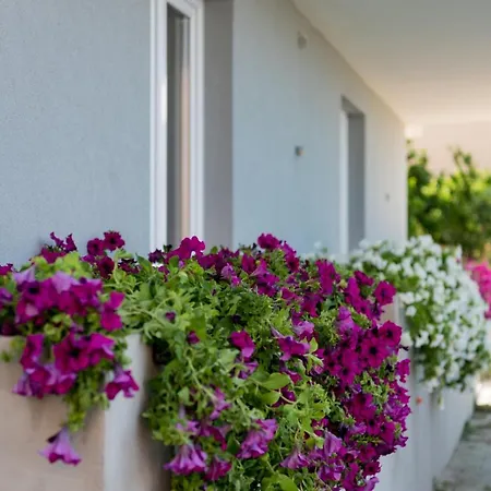 Ankica With Beautiful Sea View * Podstrana